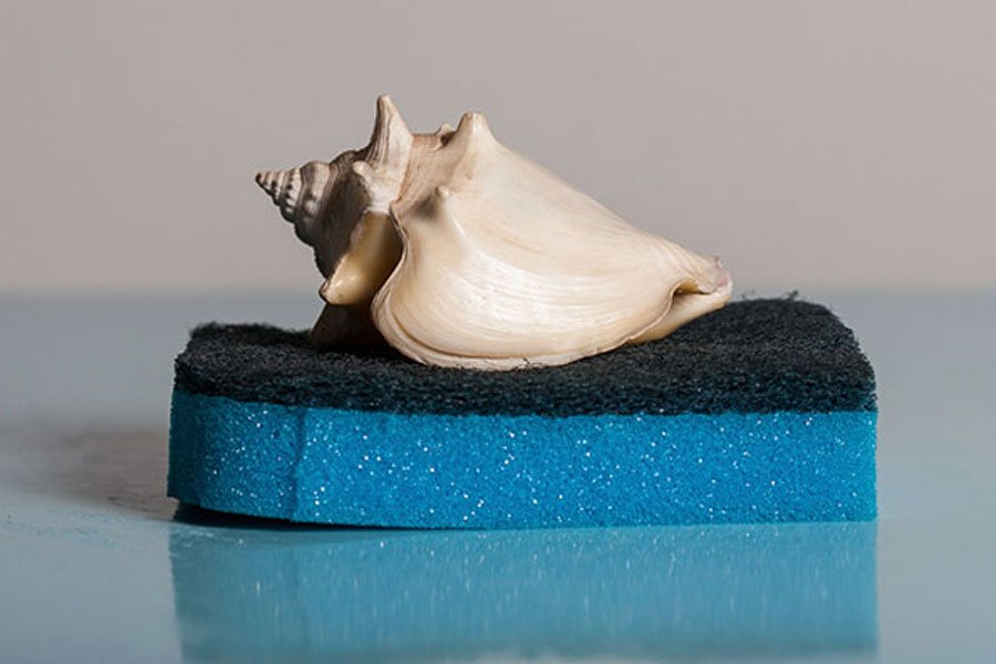 Obra de Raquel Nava