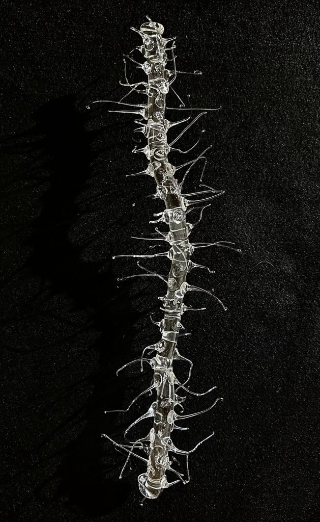 COROA DE CRISTO IV - CO 8704 - Patrícia Bagniewski - 30 x 17 x 10 cm_site