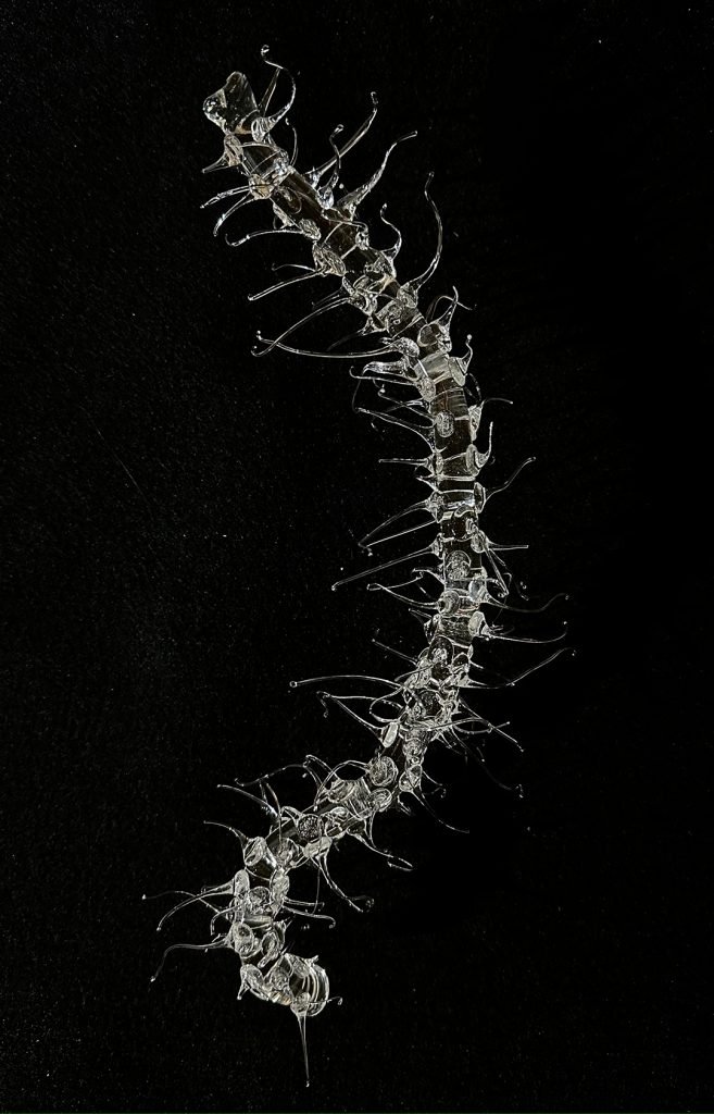 COROA DE CRISTO XIII - CO 8713 - Patrícia Bagniewski - 30 x 17 x 10 cm_site