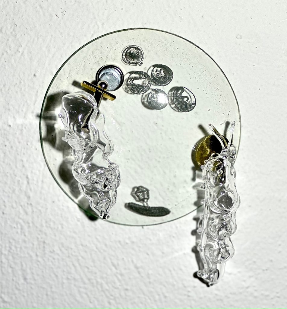 PETRI VIII - CO 8677 - Patrícia Bagniewski - 12 x 14 x 5 cm_site