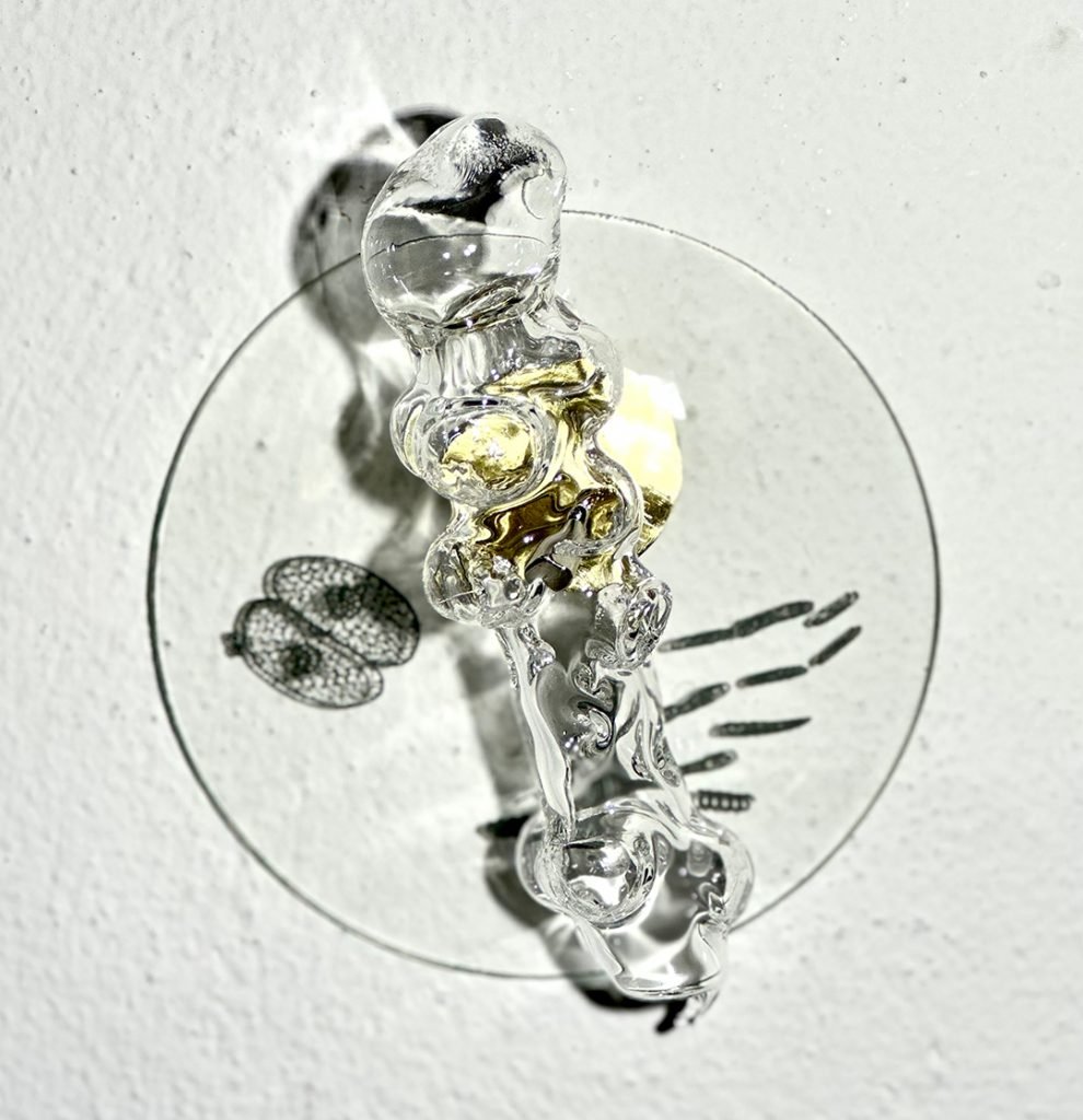 PETRI XVIII - CO 8687 - Patrícia Bagniewski - 12 x 14 x 5 cm_site