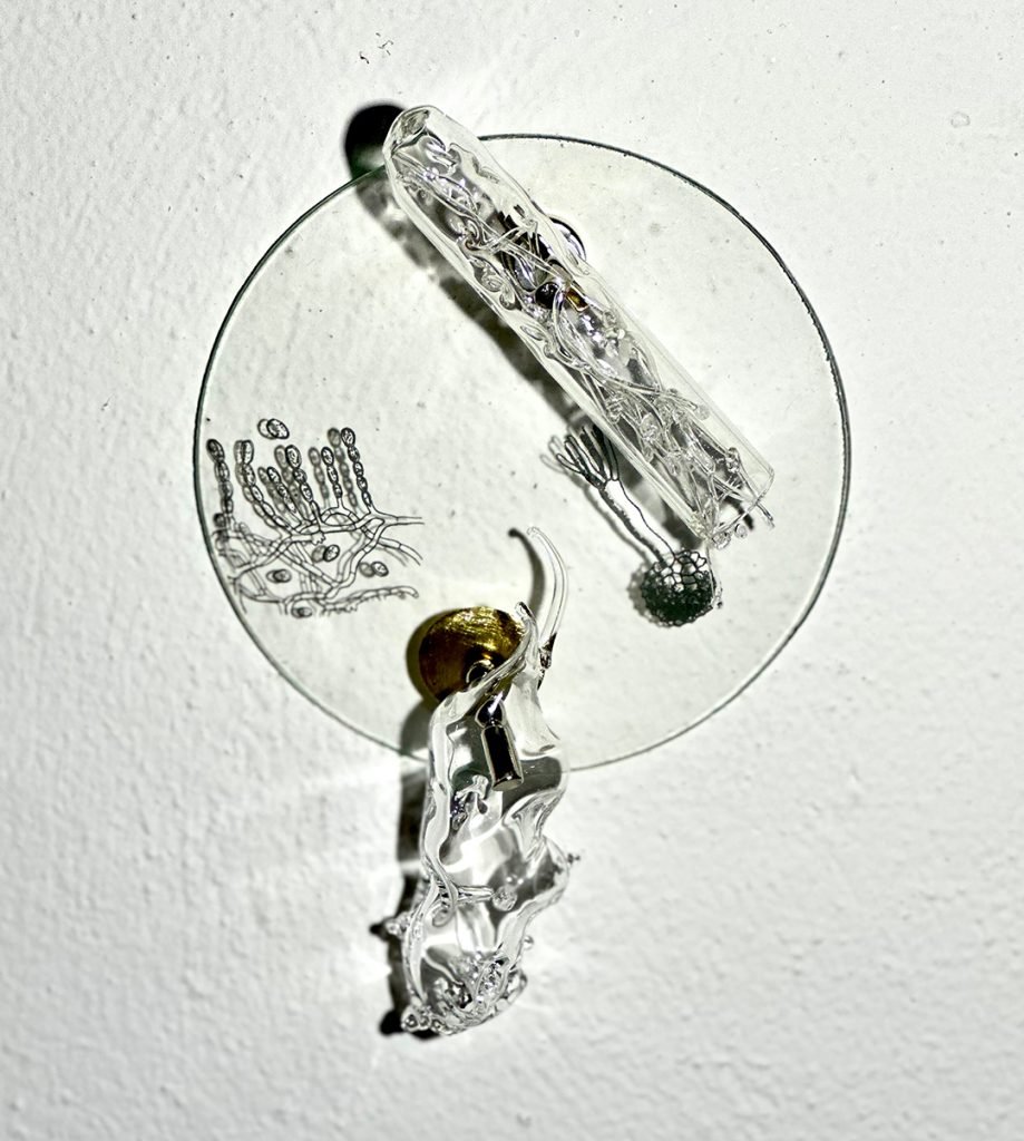 PETRI XXVIII - CO 8693 - Patrícia Bagniewski - 12 x 14 x 5 cm_site