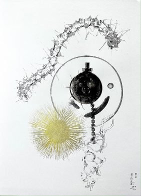 CO 8747 - Patrícia Bagniewski - 46 x 32,8 cm_site