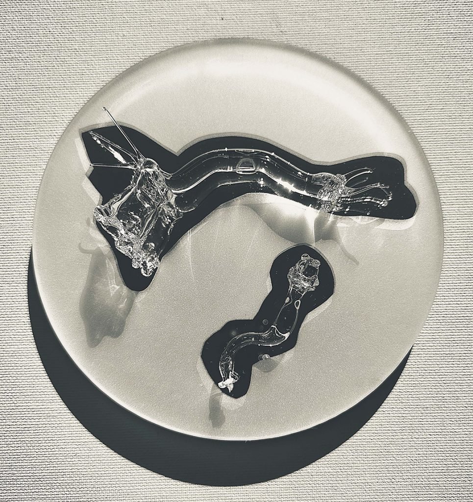 SOPA PRIMORDIAL V - CO 8755 - Patrícia Bagniewski - 15 x 8 cm_site
