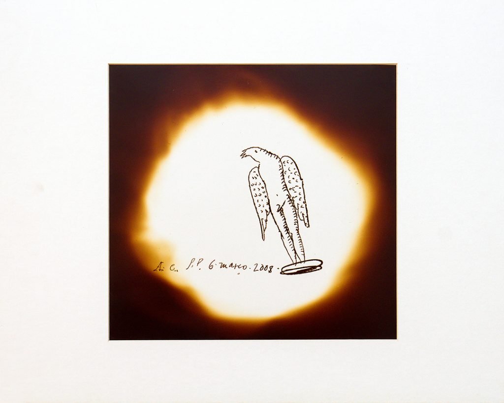 CO 6086 - Alex Cerveny - 50 x 40 cm_site
