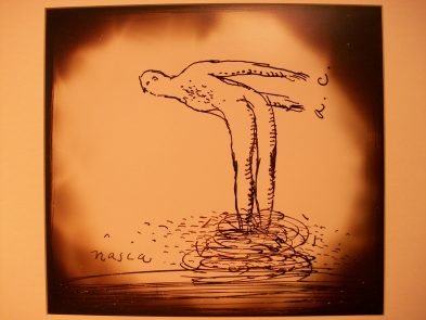 CO 6087 - Alex Cerveny - 50 x 40 cm