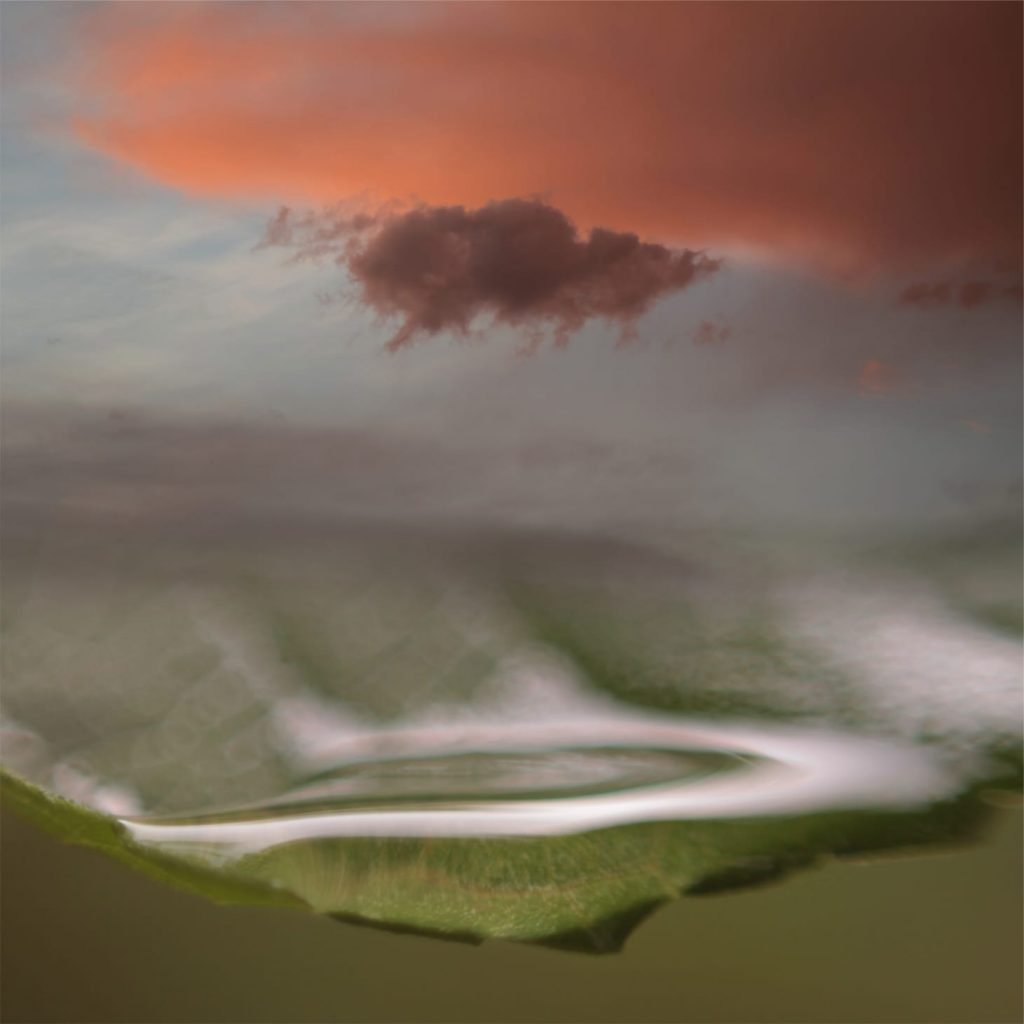 CO 7561 - André Santangelo - 100 x 100 cm