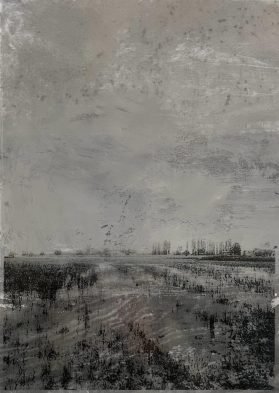 CO 8906 - Adriana Rocha - 30 x 22 cm