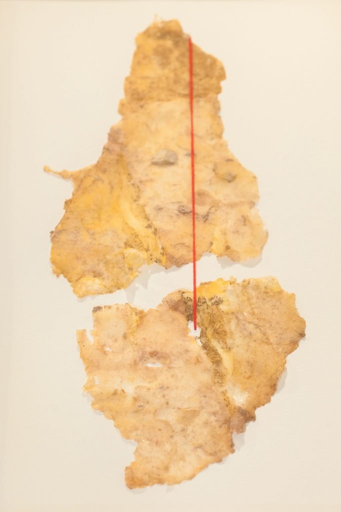 CO 8933 - Léa Juliana - 40 x 30 cm