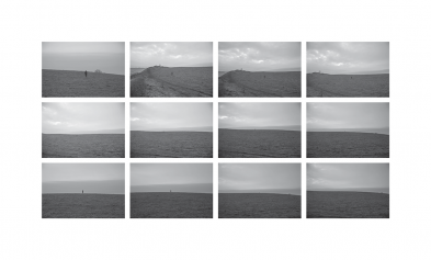 CO 8388 - Karina Dias - 62,3 x 103 cm_site