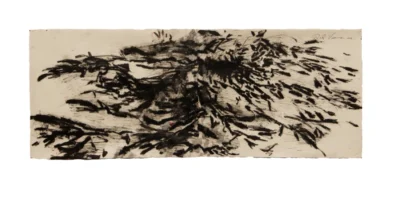 2023-Desenho-48cmx124cm-(2)