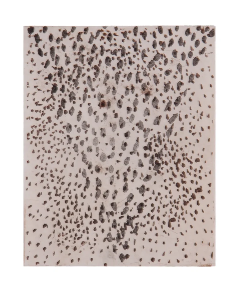 2820M-Gravura-em-metal-20cmx25cm