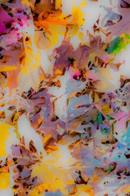 Dias_Flora_Abstrata_XVl