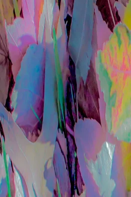 Dias_Flora_Abstrata_XXV