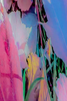 Dias_Flora_Abstrata_XXVI