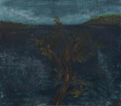 CO9311-DavidAlmeida-20x25cm