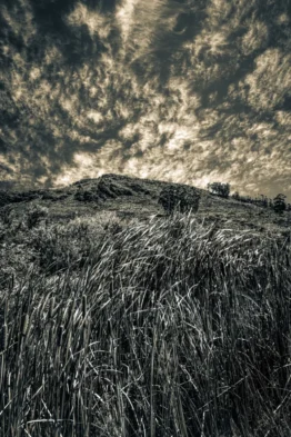 cidade do cabo - fred lamego