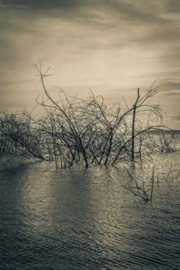 fred_lamego_expoMAR26-15