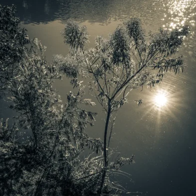 fred_lamego_expoMAR26-17