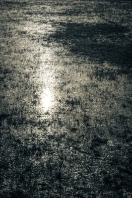 fred_lamego_expoMAR26-21