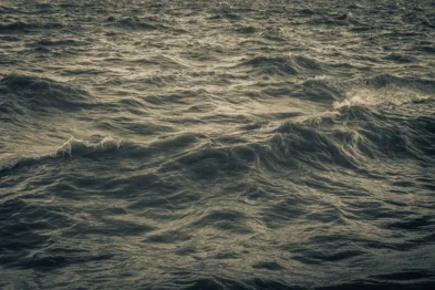 fred_lamego_expoMAR26-22