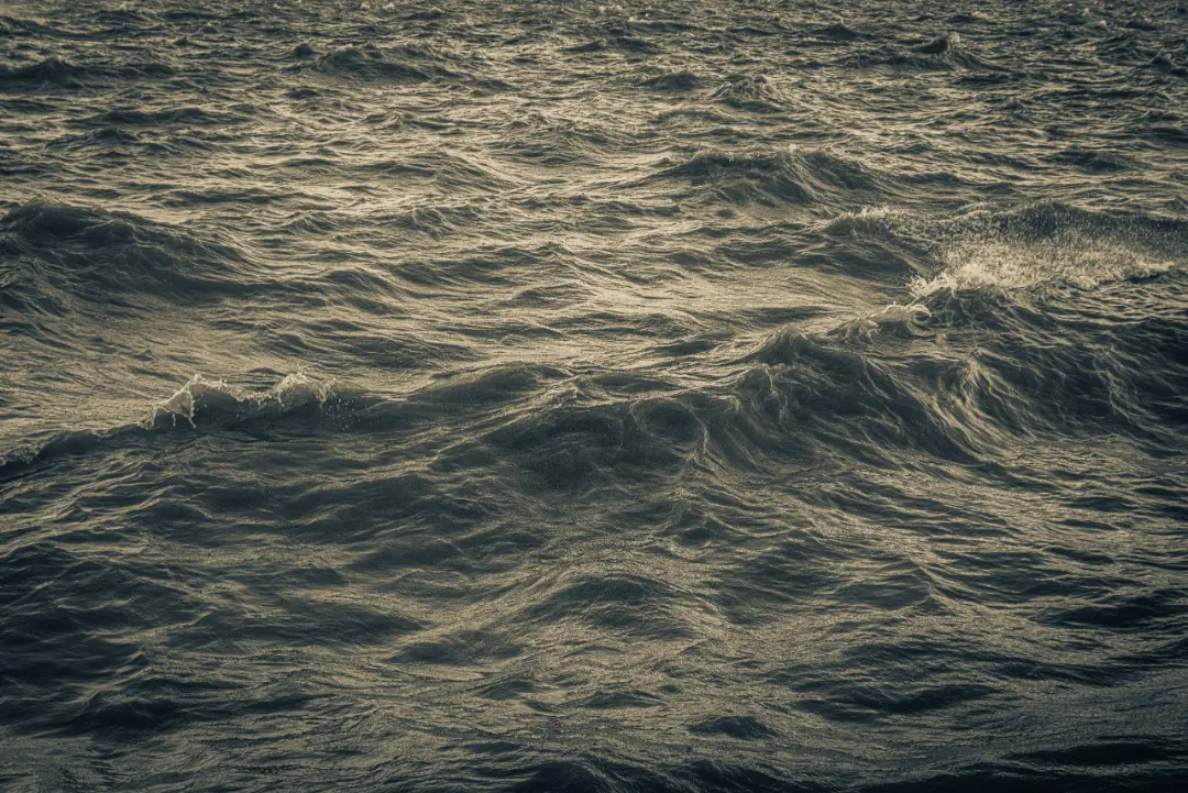 fred_lamego_expoMAR26-22