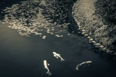 fred_lamego_expoMAR26-24