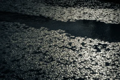 fred_lamego_expoMAR26-25