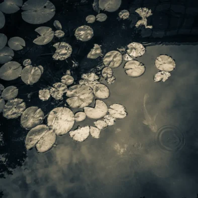 fred_lamego_expoMAR26-28