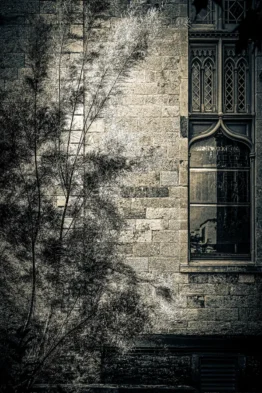 fred_lamego_expoMAR26-30