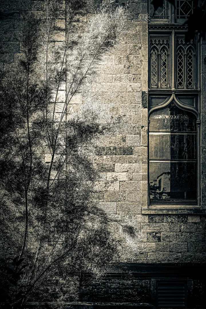 fred_lamego_expoMAR26-30