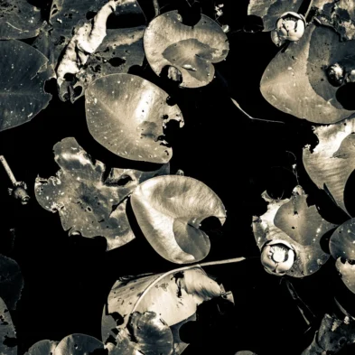 fred_lamego_expoMAR26-31