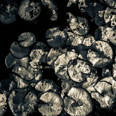 fred_lamego_expoMAR26-32