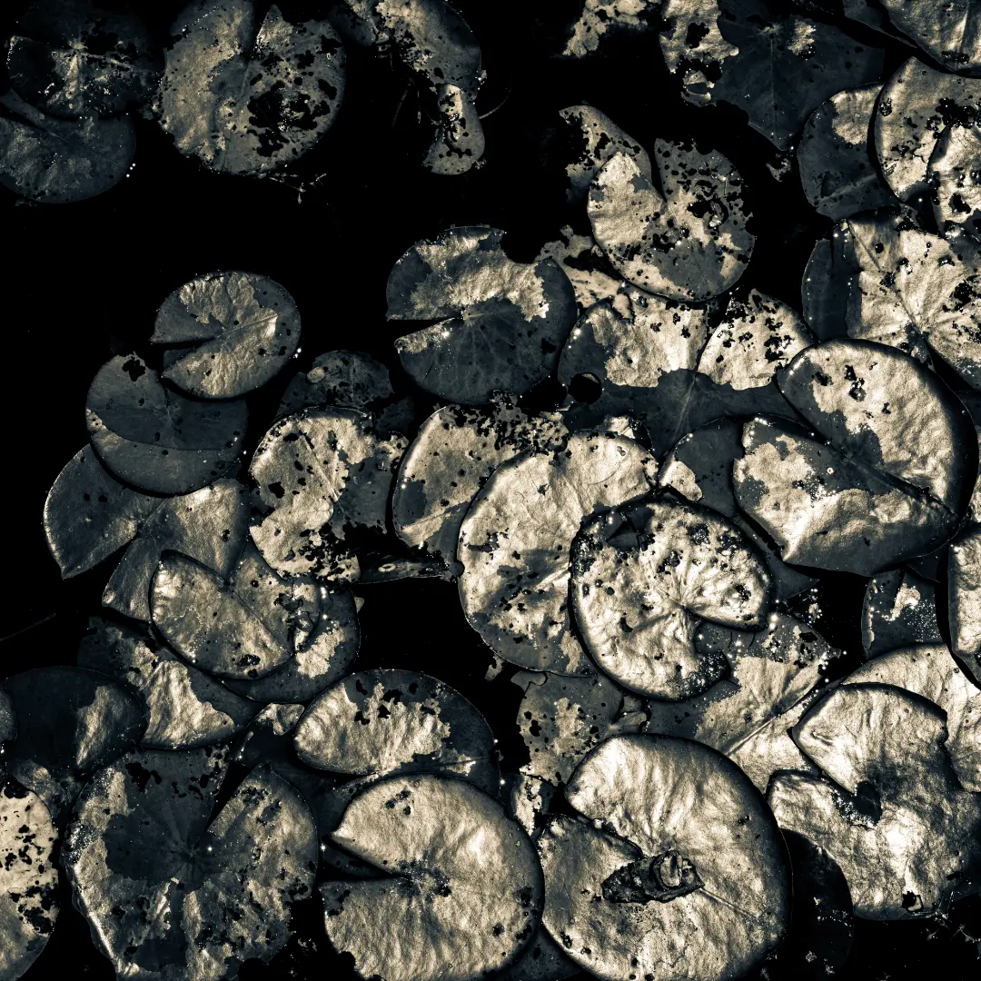 fred_lamego_expoMAR26-32