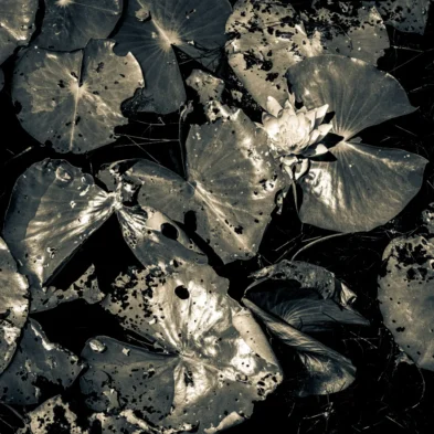 fred_lamego_expoMAR26-33