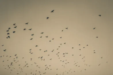 fred_lamego_expoMAR26-35