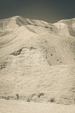 fred_lamego_expoMAR26-5