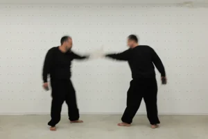 exposição passageiro - João Angelini