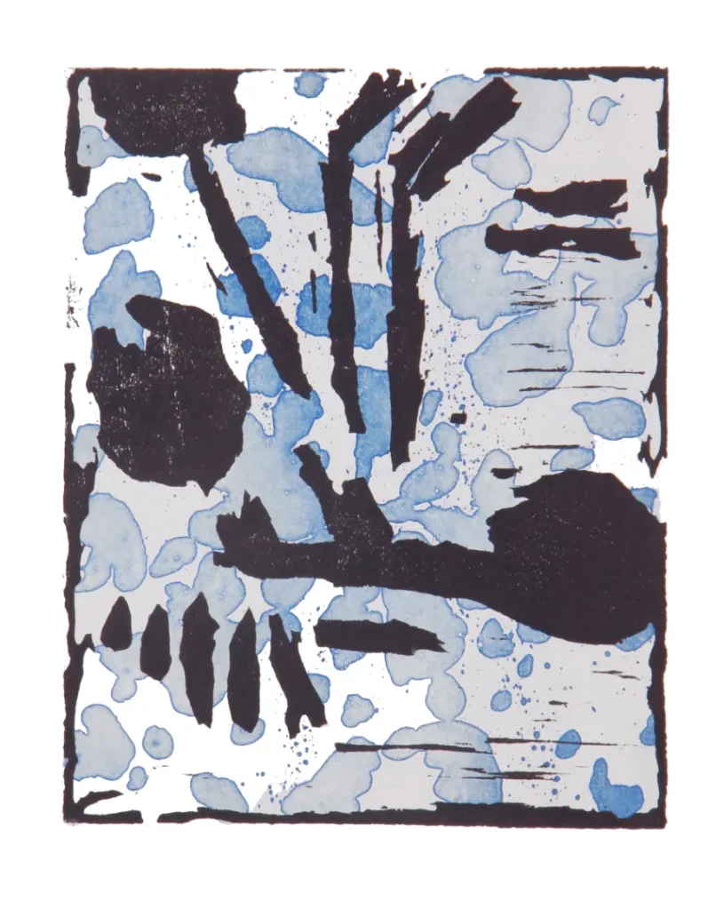CO-9464-DioViana-25x20cm