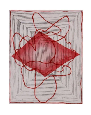 CO-9466-DioViana-25x20cm