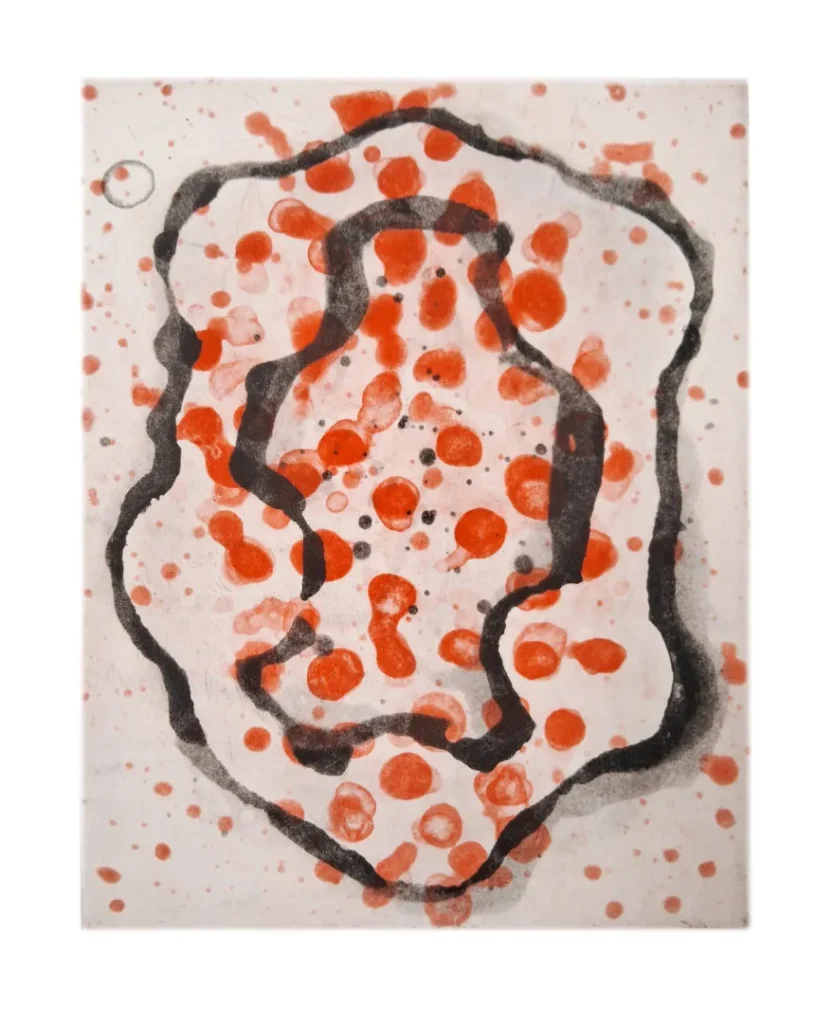 CO-9468-DioViana-25x20cm