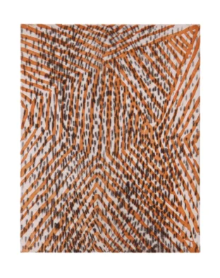 CO-9469-DioViana-25x20cm