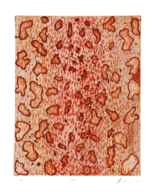 CO-9470-DioVianaTiragem1de10-25x20cm