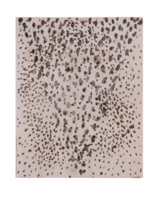 CO-9471-DioViana-25x20cm