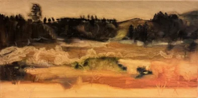 CO9664-AdrianaMarques-20x40cm