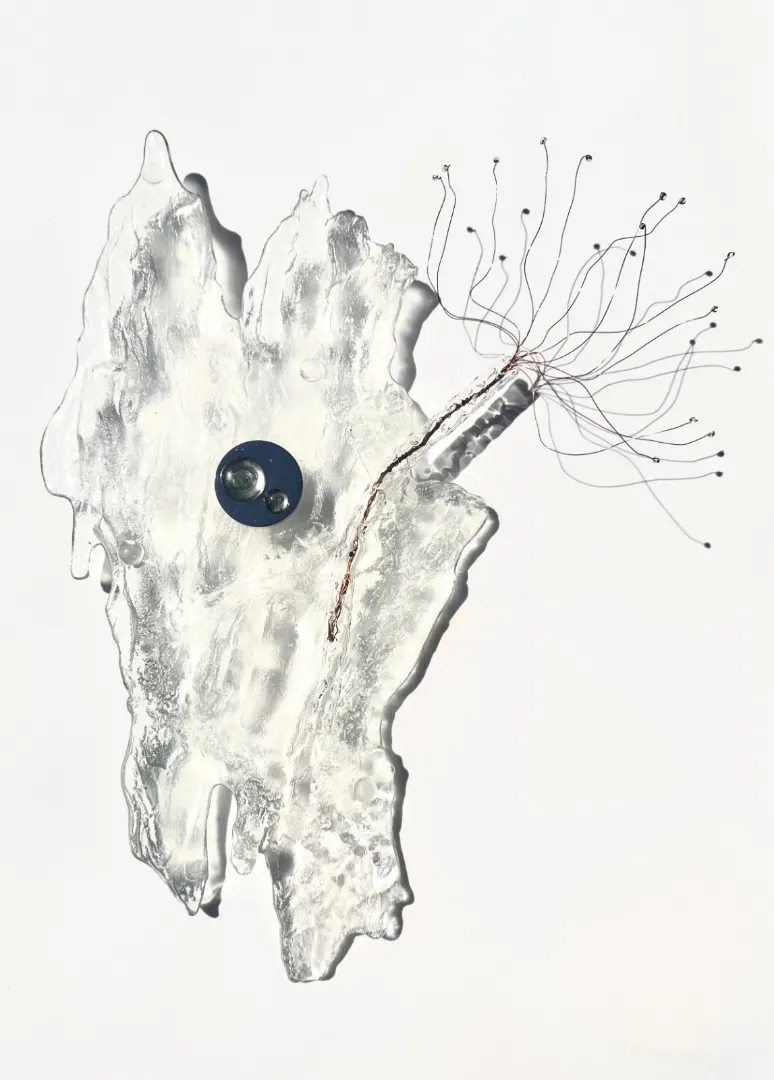 CO9680-PatriciaBagniewski-42x32x10cm