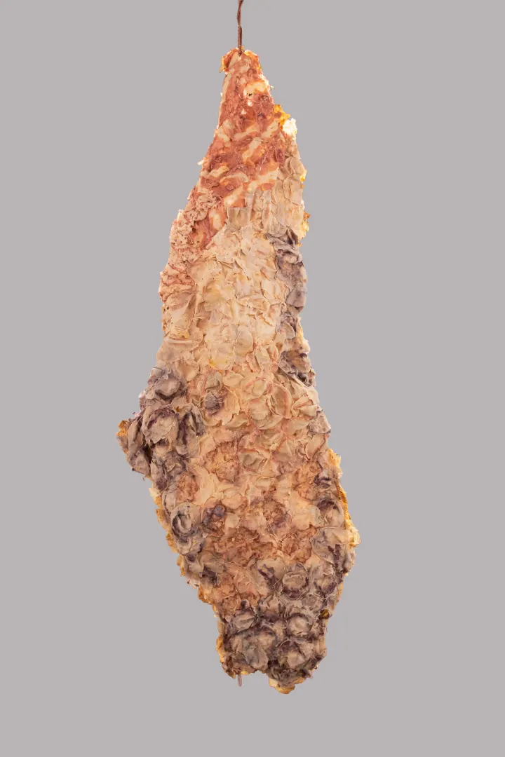 CO9682-LeaJuliana-120x46x30cm