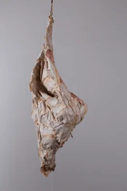 CO9686-LeaJuliana-110x44x30cm