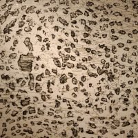 CO 7786 - Diô Viana - 100 x 130 cm