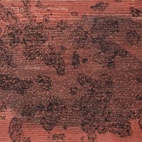 CO-7853-Dio-Viana-111-x-140-cm